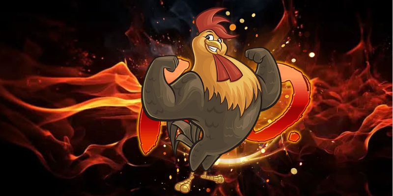 Vì sao nên chọn 68WIN để chơi đá gà?