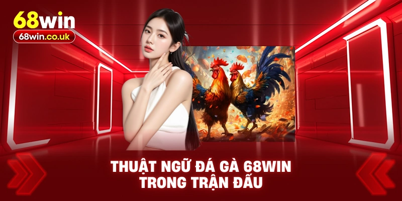 Thuật Ngữ Đá Gà 68WIN Trong Trận Đấu