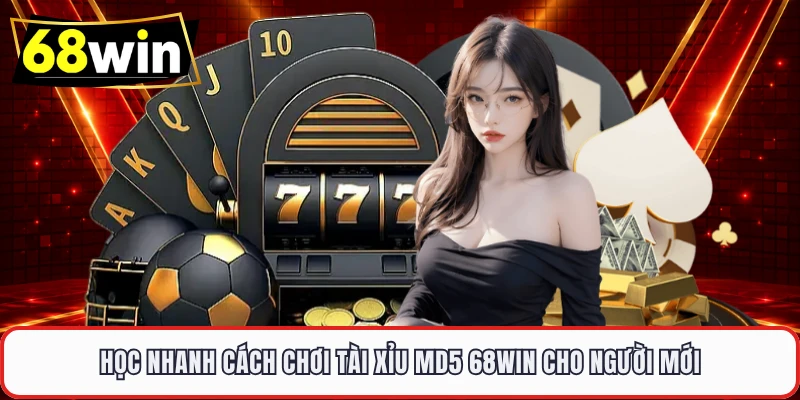 Học nhanh cách chơi Tài Xỉu MD5 68WIN cho người mới 